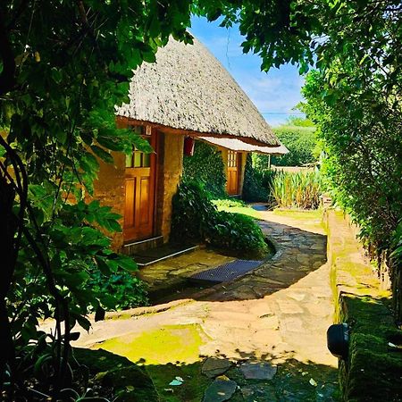 Bird Haven Guesthouse Hlotse Exterior foto